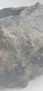 56775565_2076846805947502_999614455157358592_n.webp