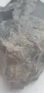 56615094_285082699097927_7485559794229575680_n.webp