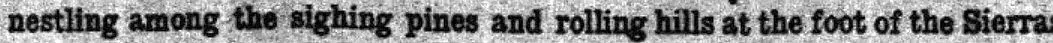 000mmm.webp