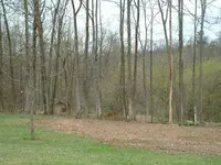 DSCF0009.webp