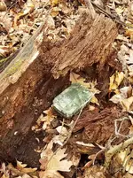 20190407_211711.webp