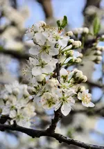 DSC_0023.webp
