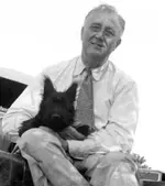 Scottish Terrier 1.webp Scottish Terrier 1.webp