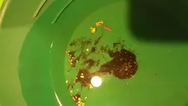 20180426_203717.webp