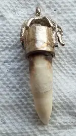 capped tooth 10 final.webp capped tooth 10 final.webp
