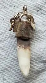 capped tooth 12 leftside.webp capped tooth 12 leftside.webp