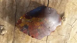 20190324_173513.webp
