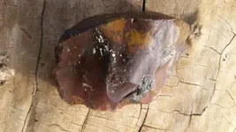 20190324_173520.webp