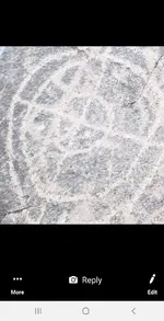 20190328_175133.webp