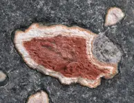 amygloidal agates2.webp
