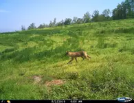 010.webp 010.webp