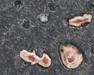 amygloidal agates3.webp