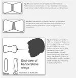 banner 678.webp banner 678.webp
