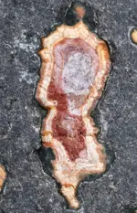 amygloidal agate.webp