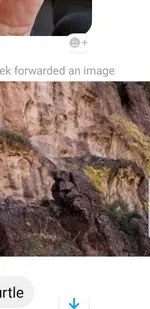 Screenshot_20190423-225930_Gallery.webp