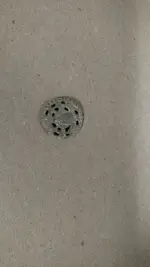 IMG_20190417_082607114.webp