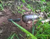 Bottle Dirt.webp