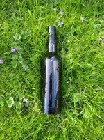 Bottle Grass.webp