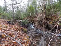 DSCN0564.webp