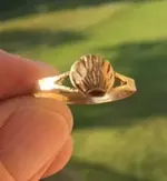 gold clam ring1.webp gold clam ring1.webp