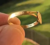 gold clam ring2.webp gold clam ring2.webp