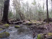 DSCN0567.webp