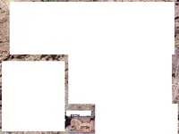 682019 526.webp 682019 526.webp
