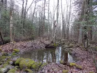 DSCN0569.webp