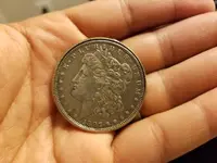 1558671990243.webp