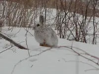DSCN0545.webp