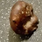 rock1.webp