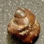 rock2.webp