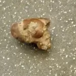 rock3.webp