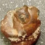 rock6.webp