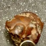rock7.webp