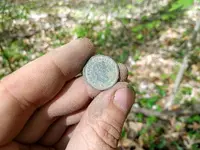 lintoken0.webp