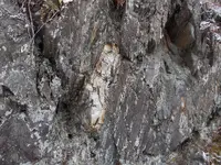 DSCN0546.webp