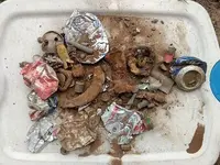 trash.webp