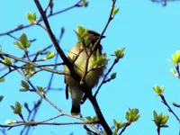 DSCN2576.webp