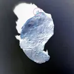 pendulum negative.webp