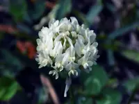 DSCN2579.webp