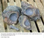 Encrusted hand grenade 1684.webp