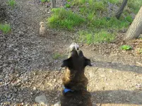 walk 042419 3.webp