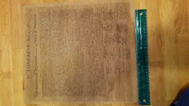 KIMG1372.webp