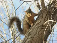 walk 042419 4.webp