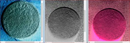 three coins.webp