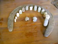 DSCN0375.webp