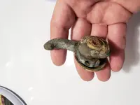 20190514_115624.webp