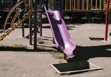 wP9TjKBX_2019624050006.webp