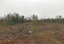 New Gravel Bank.webp